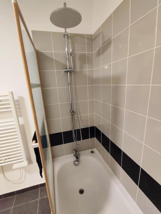 T2 Avec Jardin Proche Aeroport, Airbus, Meet Apartment Daux Luaran gambar